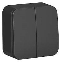 Выключатель накладной Systeme Electric Blanca 2-кл. антрацит картинка